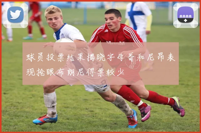 球员投票结果揭晓字母哥和尼昂表现抢眼布朗尼得票较少